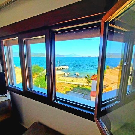 Gianni'S Apartment 1 By The Sea Амоляни Екстериор снимка